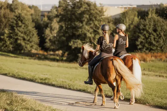 Ausritt über einen Feldweg, ein Pony läuft frei mit.