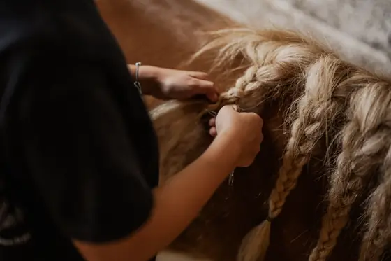Kinderhände flechten die helle Mähne eines Ponys.