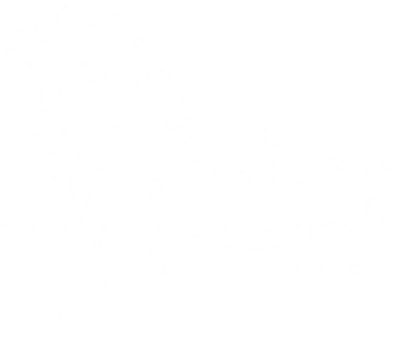 Reitschule für Kinder — Franziska Falk