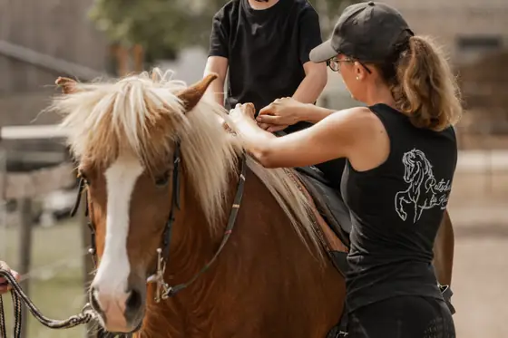 Nahaufnahme eines Ponykopfes, eine Hand am Halfter.